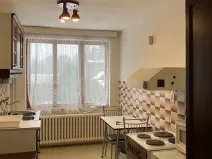 Pronájem bytu 1+1, Šestajovice, Havlíčkova, 39 m2