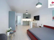 Pronájem bytu 1+kk, Praha - Karlín, Sokolovská, 34 m2