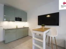 Pronájem bytu 1+kk, Praha - Karlín, Sokolovská, 34 m2