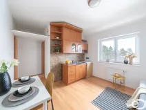 Prodej bytu 1+kk, Šestajovice, Revoluční, 17 m2