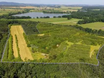 Prodej komerčního pozemku, Čejkovice, 121779 m2