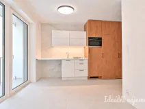 Pronájem bytu 1+kk, Brno, Koliště, 22 m2