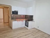 Pronájem bytu 1+1, Děčín - Děčín I-Děčín, Nerudova, 42 m2