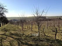 Prodej pozemku, Svatobořice-Mistřín, 3501 m2