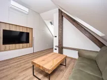 Pronájem bytu 1+kk, Olomouc - Hodolany, Blanická, 55 m2