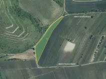 Prodej pole, Dolní Dunajovice, 139332 m2