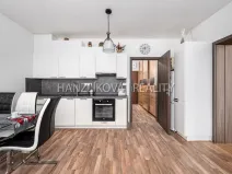 Prodej bytu 2+kk, České Budějovice - České Budějovice 2, Husova tř., 50 m2