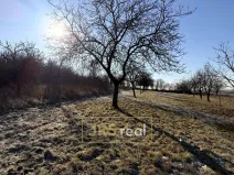 Prodej pozemku, Ostrožská Nová Ves, 982 m2