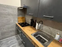 Prodej bytu 2+1, Most, K. J. Erbena, 43 m2