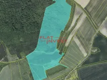 Prodej lesa, Vršovice, 162726 m2