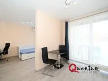 Pronájem bytu 1+kk, Praha - Žižkov, Olgy Havlové, 38 m2