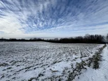 Prodej louky, Bruzovice, 94427 m2