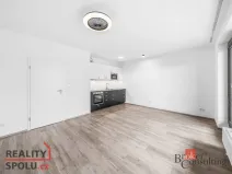 Pronájem bytu 1+kk, Plzeň - Jižní Předměstí, Železná, 43 m2