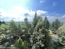 Pronájem pokoje, Brno, Arménská, 18 m2