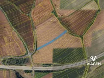 Prodej pole, Olšovec, 7491 m2