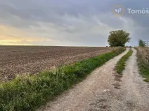 Prodej pole, Brno, 2381 m2