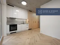 Pronájem bytu 1+kk, Brno, Koliště, 22 m2
