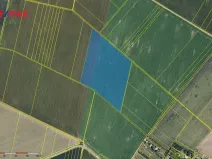 Prodej podílu 2/3 pole, Těšetice, 172887 m2