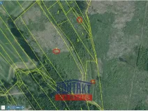 Prodej lesa, Žirovnice, 11124 m2