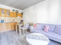 Prodej bytu 2+kk, Trutnov - Dolní Staré Město, Horská, 42 m2