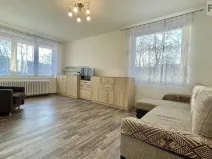 Pronájem bytu 1+1, Ostrava, Lechowiczova, 45 m2