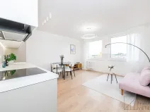 Prodej bytu 2+kk, Praha - Žižkov, Biskupcova, 47 m2