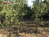 Prodej pozemku pro bydlení, Bezvěrov, 1216 m2