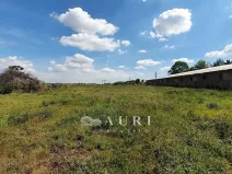 Prodej skladu, Zvoleněves, 7650 m2