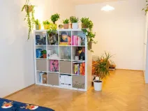 Prodej bytu 1+1, Olomouc - Nová Ulice, Pionýrská, 45 m2