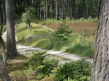 Pronájem rybníku, Sklené nad Oslavou, 10645 m2