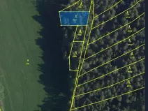 Prodej lesa, Kojčice, 1102 m2