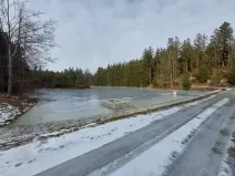Pronájem rybníku, Staré Město pod Landštejnem, 12407 m2