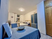 Pronájem bytu 1+kk, Praha - Vršovice, Donská, 30 m2