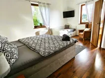 Prodej rodinného domu, Nová Role - Mezirolí, 350 m2