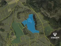 Prodej podílu lesa, Nechvalice, 33517 m2