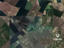 Prodej podílu pole, Velké Pavlovice, 1786 m2