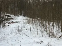 Prodej pozemku, Kadaň, 3903 m2