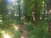 Prodej pole, Čestlice, Říčanská, 678 m2