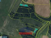 Prodej lesa, Okrouhlice - Vadín, 13839 m2