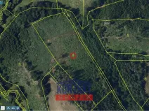 Prodej lesa, Okrouhlice - Vadín, 13839 m2