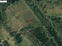 Prodej lesa, Okrouhlice - Vadín, 11240 m2