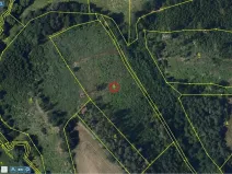 Prodej lesa, Okrouhlice - Vadín, 11240 m2