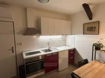 Pronájem bytu 1+kk, České Budějovice - České Budějovice 6, Mánesova, 22 m2