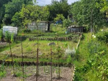 Prodej zahrady, Beroun, 387 m2