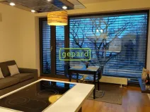 Pronájem bytu 2+kk, Brno - Zábrdovice, Slepá, 45 m2