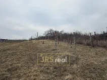 Prodej pozemku, Bzenec, 1231 m2