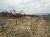 Prodej pozemku, Bzenec, 1231 m2