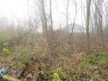 Dražba zahrady, Staré Město, 490 m2