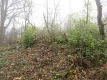 Dražba zahrady, Staré Město, 490 m2