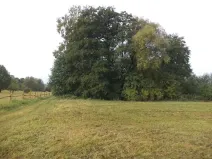 Dražba louky, Horní Pěna, 1083 m2